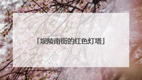 坝陵南街的红色灯塔