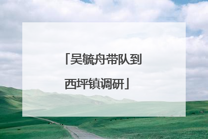 吴毓舟带队到西坪镇调研