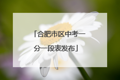 合肥市区中考一分一段表发布