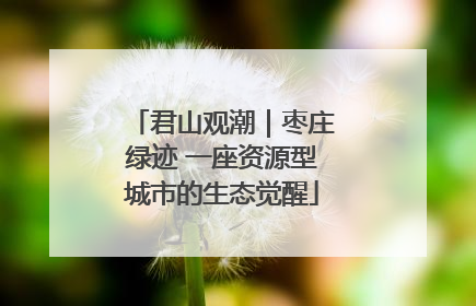 君山观潮｜枣庄绿迹 一座资源型城市的生态觉醒