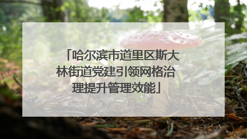 哈尔滨市道里区斯大林街道党建引领网格治理提升管理效能