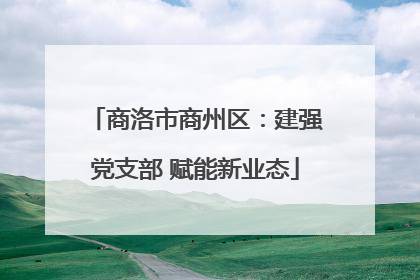 商洛市商州区：建强党支部 赋能新业态