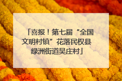 喜报！第七届“全国文明村镇”花落民权县绿洲街道吴庄村