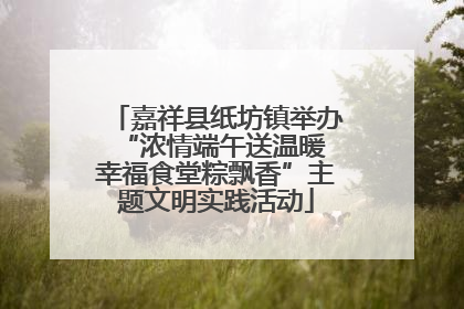 嘉祥县纸坊镇举办“浓情端午送温暖 幸福食堂粽飘香”主题文明实践活动