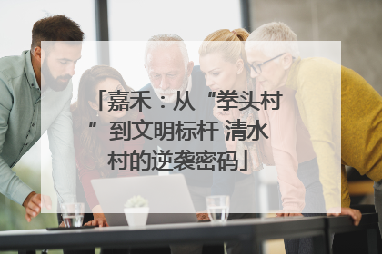 嘉禾：从“拳头村”到文明标杆 清水村的逆袭密码