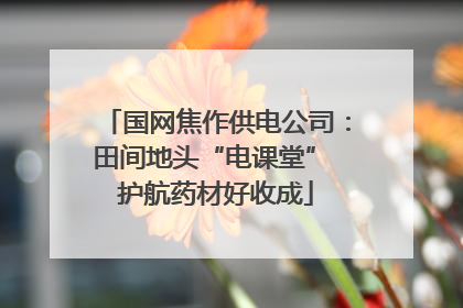 国网焦作供电公司：田间地头“电课堂” 护航药材好收成