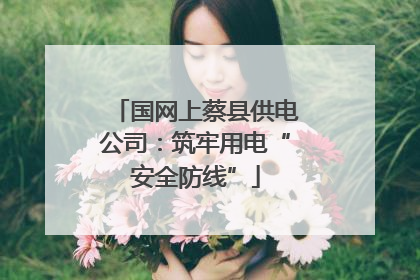 国网上蔡县供电公司：筑牢用电“安全防线”