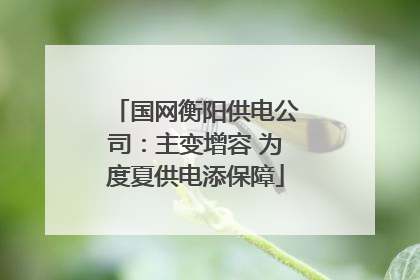 国网衡阳供电公司：主变增容 为度夏供电添保障