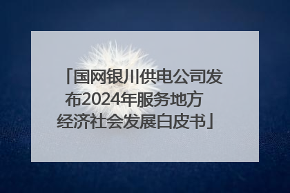 国网银川供电公司发布2024年服务地方经济社会发展白皮书