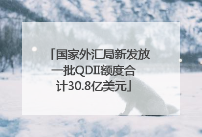 国家外汇局新发放一批QDII额度合计30.8亿美元