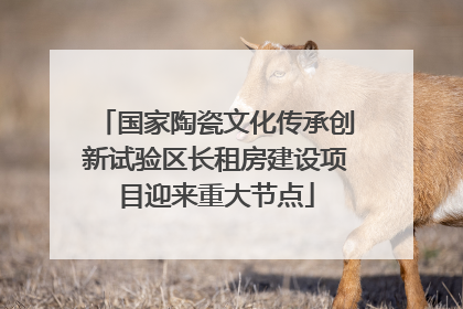 国家陶瓷文化传承创新试验区长租房建设项目迎来重大节点