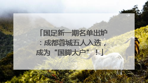 国足新一期名单出炉：成都蓉城五人入选，成为“国脚大户”！