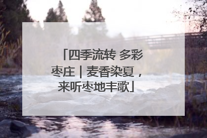 四季流转 多彩枣庄｜麦香染夏，来听枣地丰歌