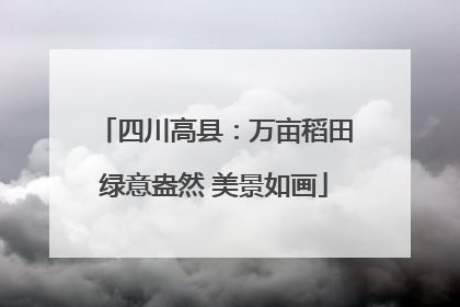 四川高县：万亩稻田绿意盎然 美景如画
