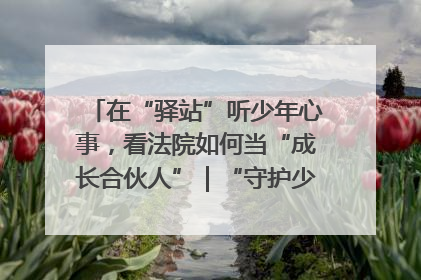 在“驿站”听少年心事，看法院如何当“成长合伙人”｜“守护少年的微笑” 探访记