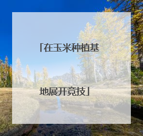 在玉米种植基地展开竞技