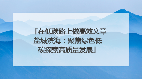 在低碳路上做高效文章 盐城滨海：聚焦绿色低碳探索高质量发展