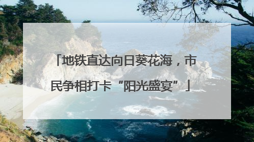 地铁直达向日葵花海，市民争相打卡“阳光盛宴”