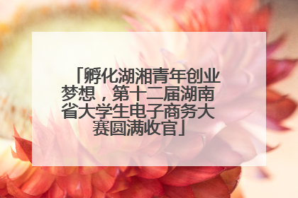 孵化湖湘青年创业梦想，第十二届湖南省大学生电子商务大赛圆满收官