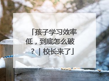 孩子学习效率低，到底怎么破？｜校长来了