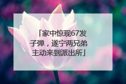 家中惊现67发子弹，遂宁两兄弟主动来到派出所
