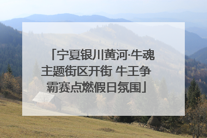 宁夏银川黄河·牛魂主题街区开街 牛王争霸赛点燃假日氛围