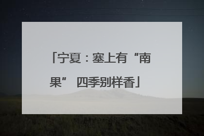 宁夏：塞上有“南果” 四季别样香