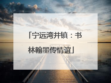 宁远湾井镇：书林翰墨传情谊