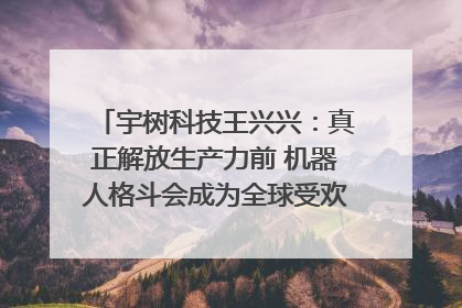 宇树科技王兴兴：真正解放生产力前 机器人格斗会成为全球受欢迎的赛事｜科技观察
