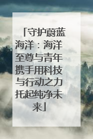 守护蔚蓝海洋：海洋至尊与青年携手用科技与行动之力托起纯净未来