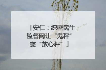 安仁：织密民生监督网让“鬼秤”变“放心秤”