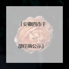 安徽四市干部任前公示
