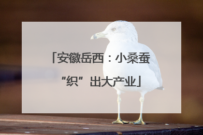 安徽岳西：小桑蚕“织”出大产业