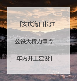 安庆海口长江公铁大桥力争今年内开工建设