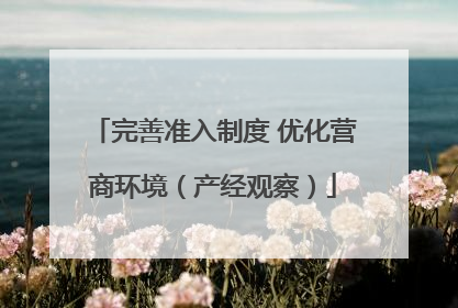完善准入制度 优化营商环境（产经观察）