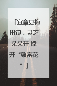 宜章县梅田镇：灵芝朵朵开 撑开“致富花”