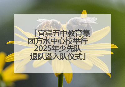 宜宾五中教育集团方水中心校举行2025年少先队退队暨入队仪式