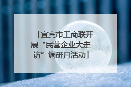 宜宾市工商联开展“民营企业大走访”调研月活动