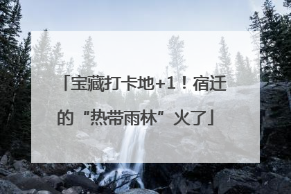 宝藏打卡地+1！宿迁的“热带雨林”火了