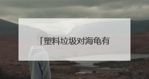 塑料垃圾对海龟有何致命伤害？世界环境日总台记者走进开普敦海洋馆