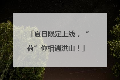 夏日限定上线，“荷”你相遇洪山！