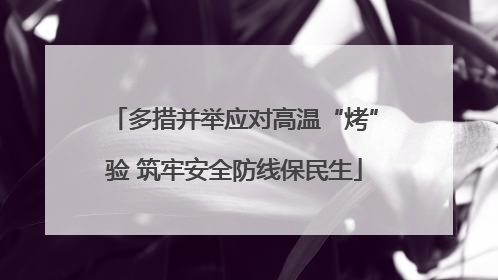 多措并举应对高温“烤”验 筑牢安全防线保民生