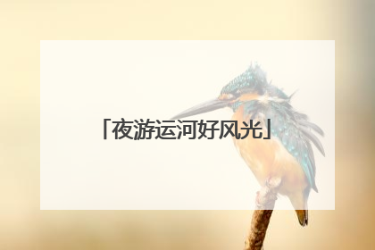 夜游运河好风光