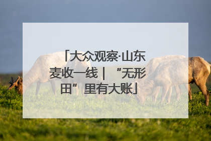 大众观察·山东麦收一线｜“无形田”里有大账