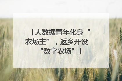 大数据青年化身“农场主”，返乡开设“数字农场”