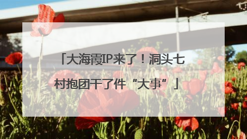 大海霞IP来了！洞头七村抱团干了件“大事”