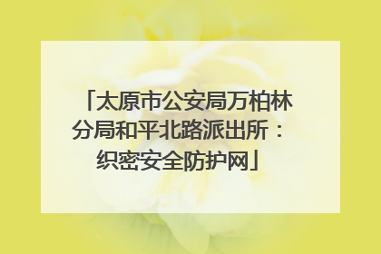 太原市公安局万柏林分局和平北路派出所：织密安全防护网