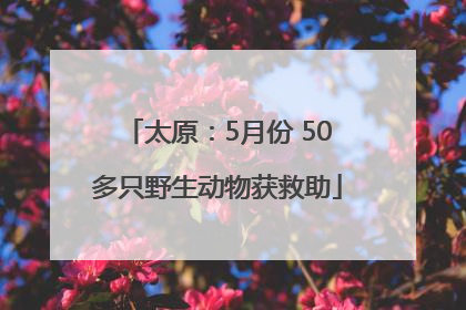太原：5月份 50多只野生动物获救助