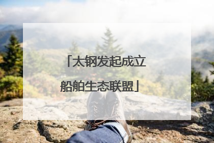 太钢发起成立船舶生态联盟