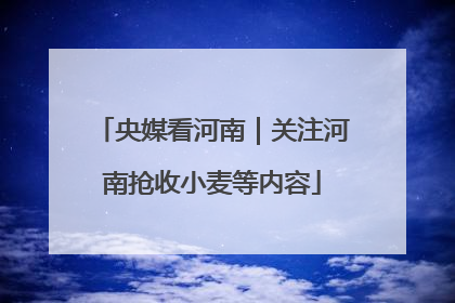 央媒看河南｜关注河南抢收小麦等内容